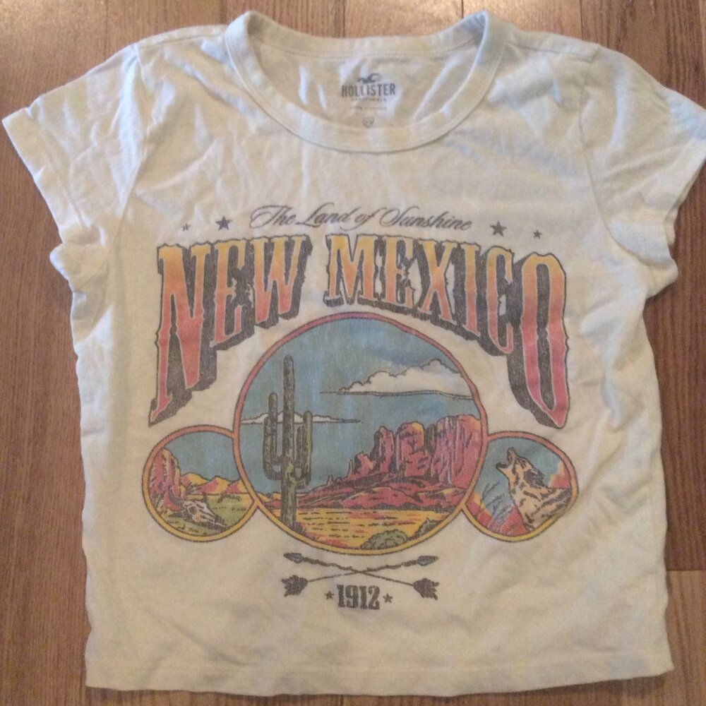 Hollister Cream New Mexico Crop Top XS